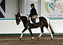 Novice 24072