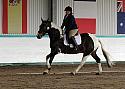 Novice 24075