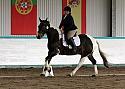 Novice 24076