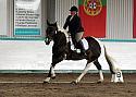 Novice 24077