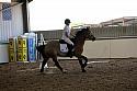 Novice5005