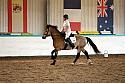 Novice5020
