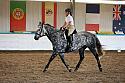 Novice5029