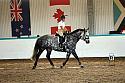 Novice5037