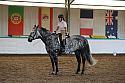 Novice5051