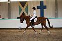 Novice5058