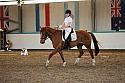 Novice5061