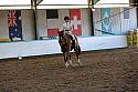 Novice5068