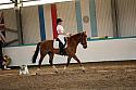 Novice5069