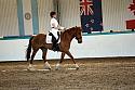 Novice5070