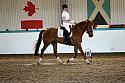 Novice5071