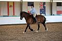 Novice5092