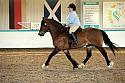 Novice5095