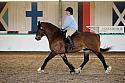 Novice5096