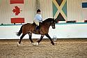 Novice5109