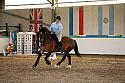 Novice5119