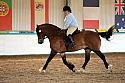 Novice5121