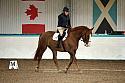 Lanark Riding Club October Dressage 2025