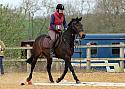 Class 2 - Novice Horse