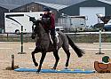 Le Trec February 2017