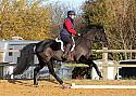 Le Trec November 2017