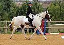 cl502