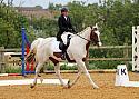 cl503
