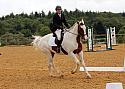 cl508