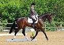 Rutland Riding Club Dressage 21-05-17