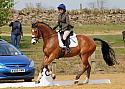 Rutland Riding Club Dressage 30-04-2017