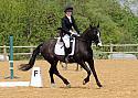 PYO Novice
