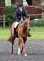 Rutland Riding Club Dressage June 2018