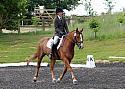 Novice 27