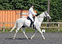 Sissons Farm Dressage July 2018