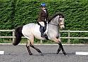 Sissons Farm Dressage October 2017