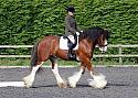 Sissons Farm Dressage September 2017
