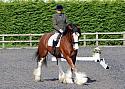 c438