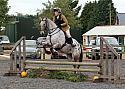 Sissons Farm Working Hunter October 2017