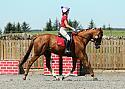 Novice