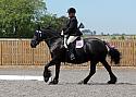 Novice017