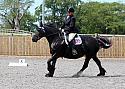 Novice019