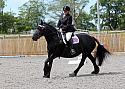 Novice020
