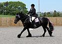 Novice027