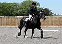 Novice031