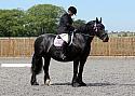 Novice035