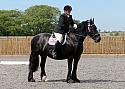 Novice038