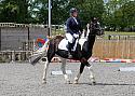 Novice039