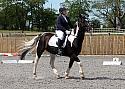 Novice041