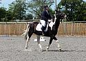 Novice042
