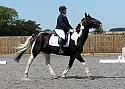 Novice045